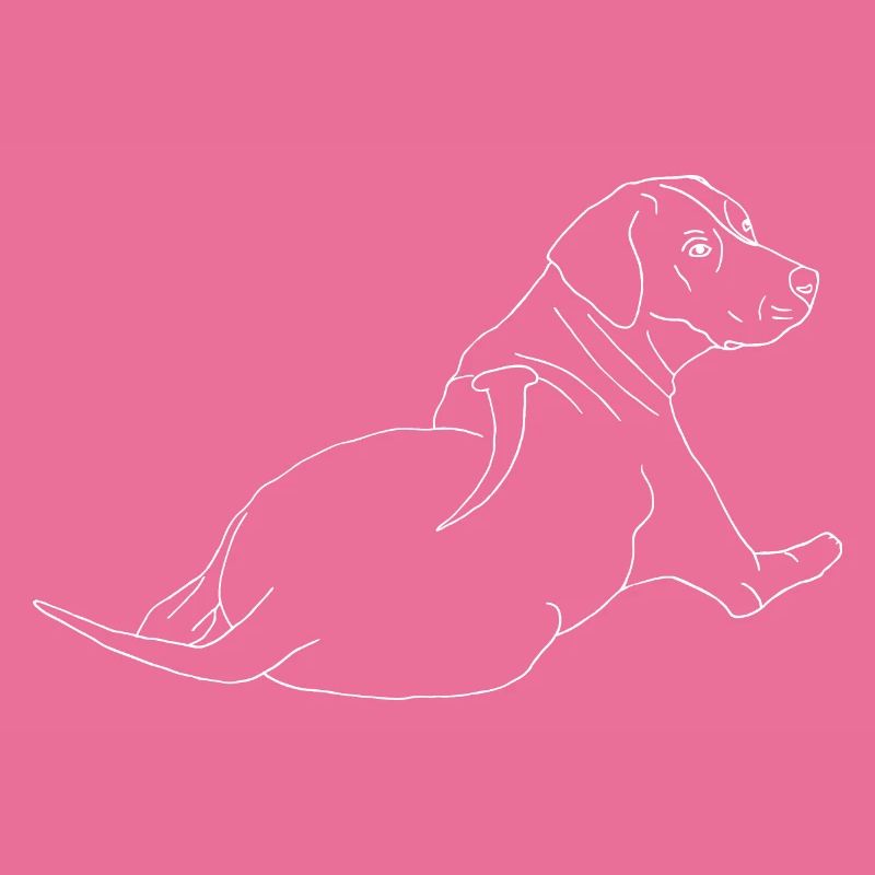 Rhodesian Ridgeback