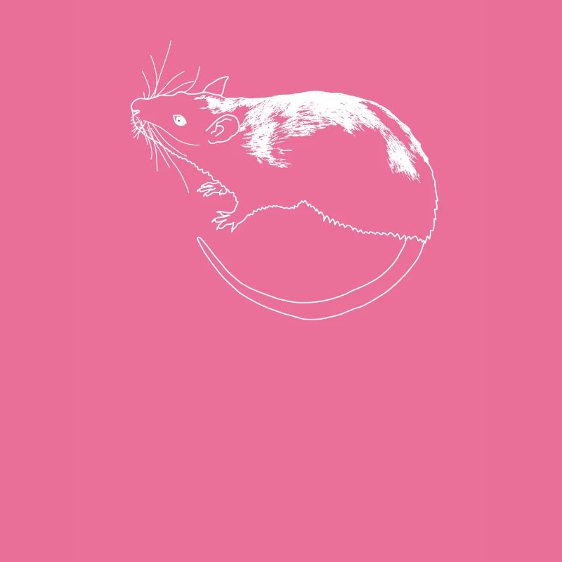 Ratte