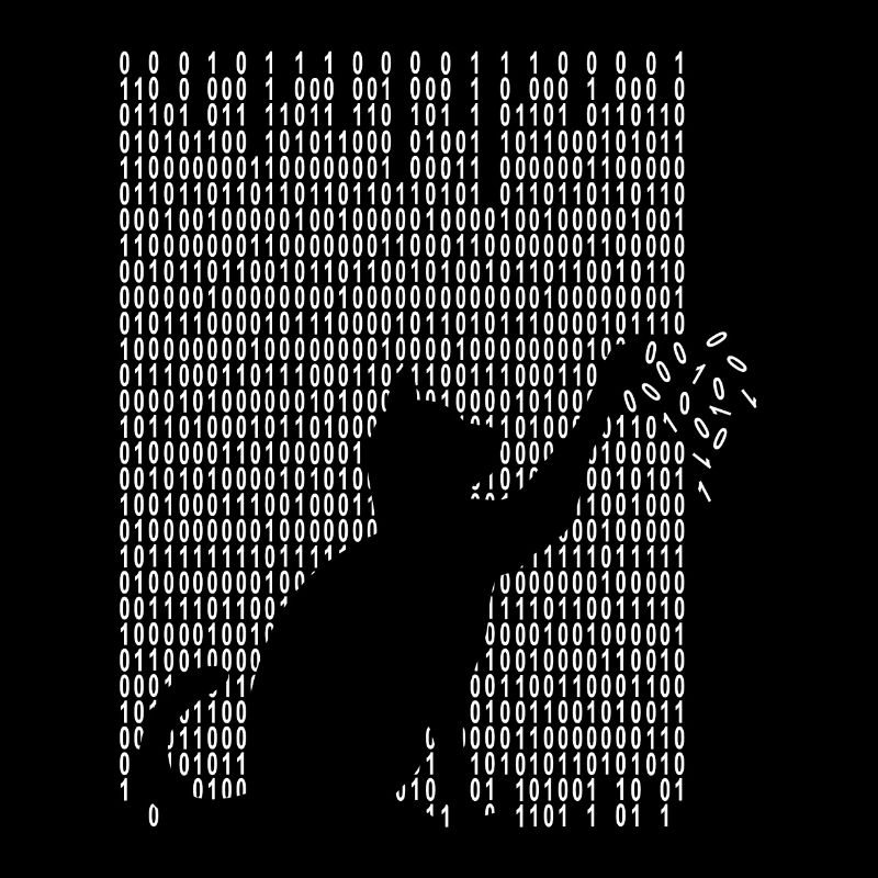 Chat joue avec le code binaire