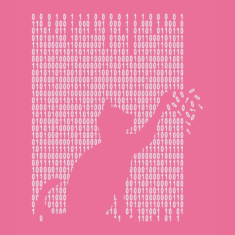 Chat joue avec le code binaire