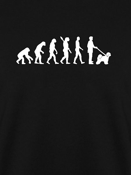 Tibet Terrier Evolution