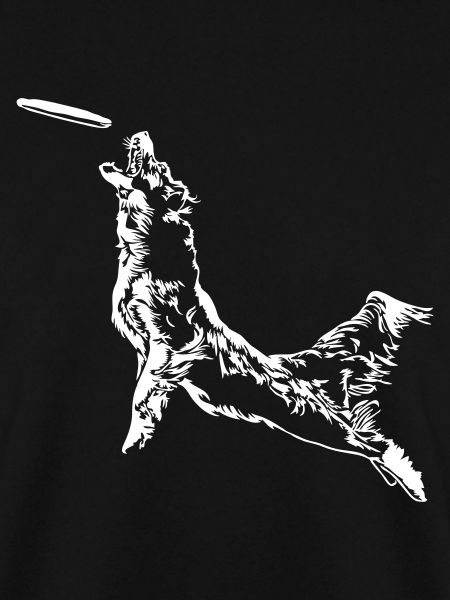 Discdogging Dog Frisbee