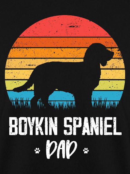 Boykin Spaniel