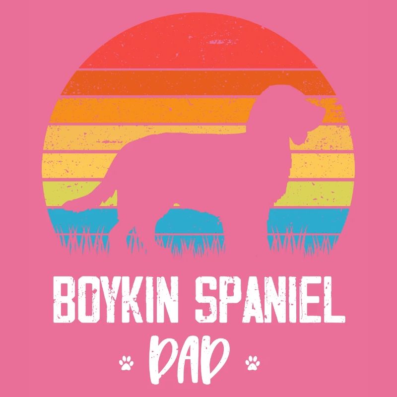 Boykin Spaniel