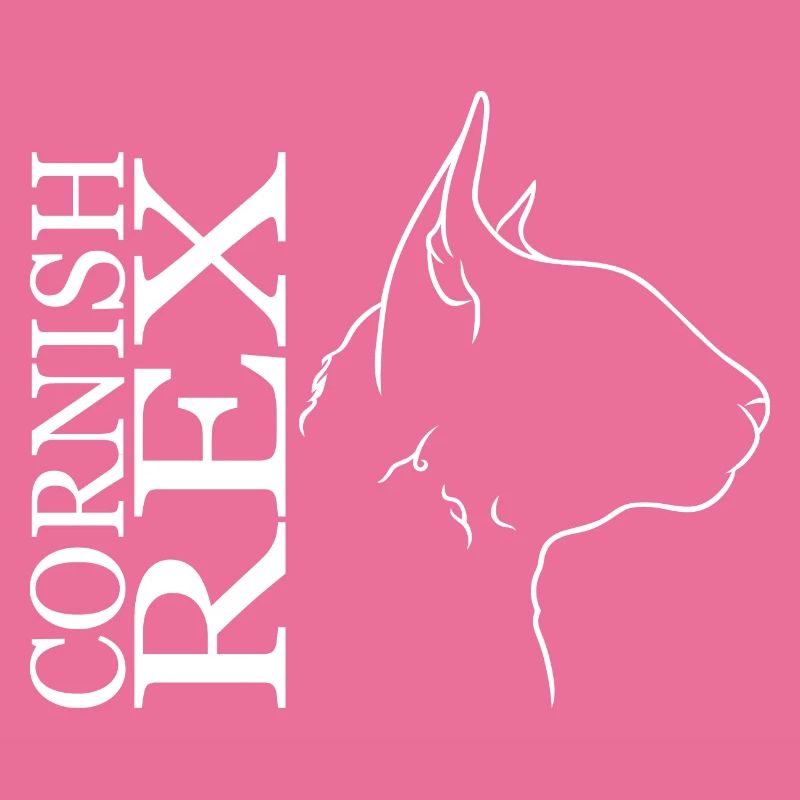 Cornish Rex Profil Chat Cat Wilsigns