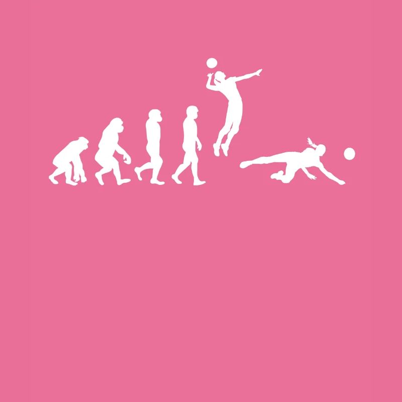 Volleyball Evolution