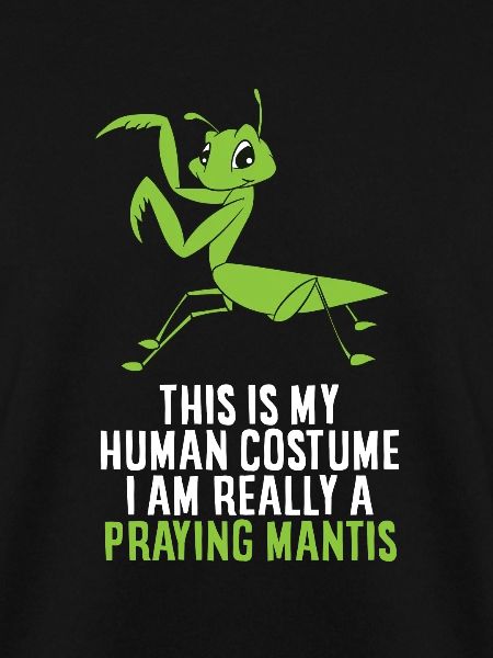 Praying Mantis Costume