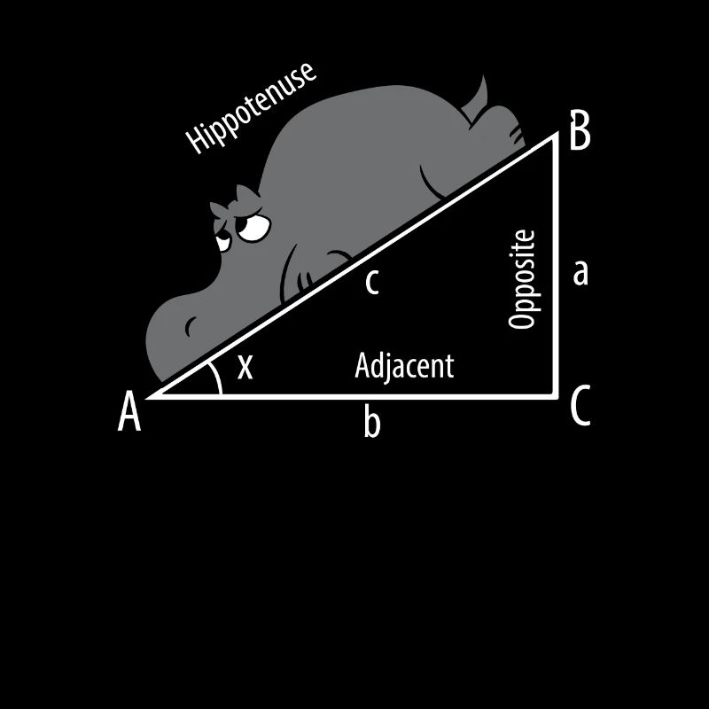 Mathe Pythagore Hypothenuse Hippopotame