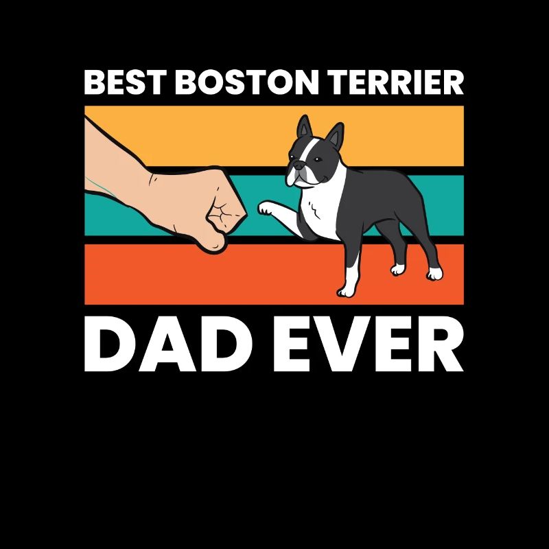 Mignon Boston Terrier Meilleur Boston Terrier