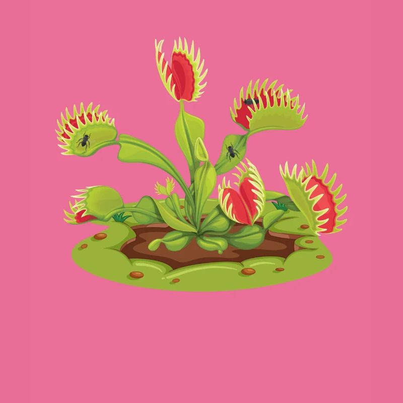 Venus Flytrap Carnivorous