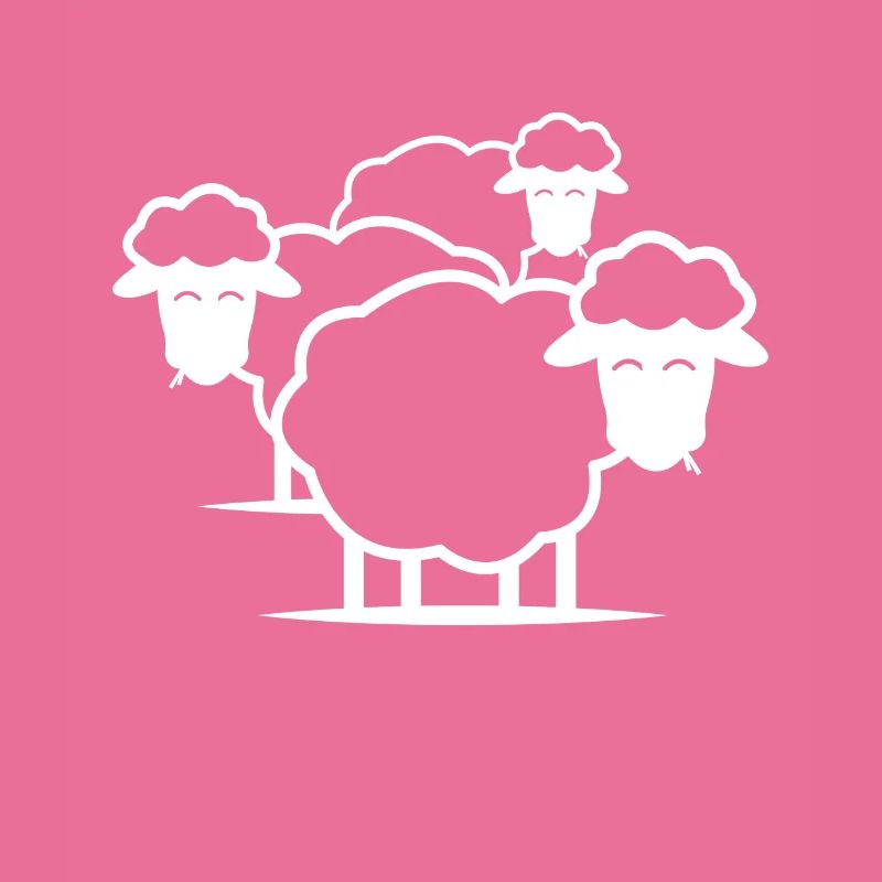 Sheep herd sheep wool