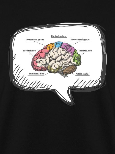 Diagram Brain Neurology Science