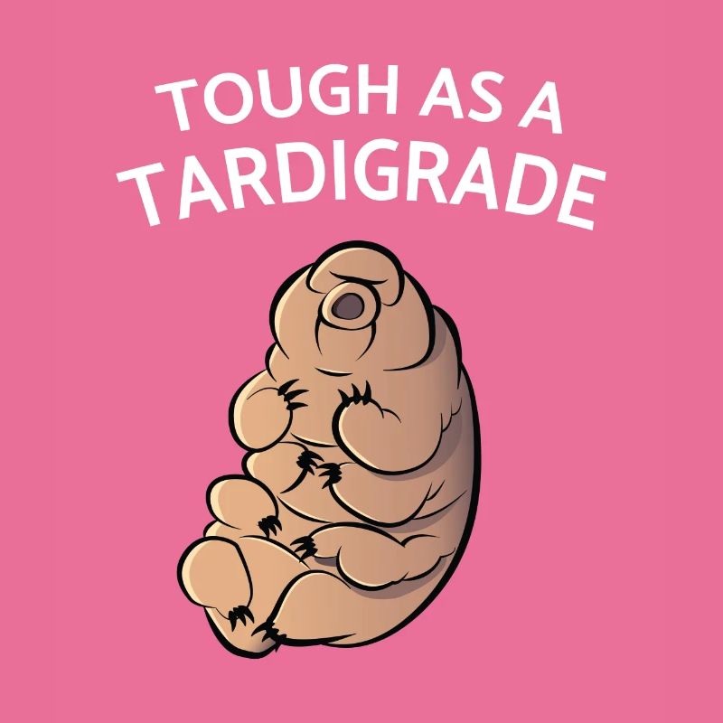 Touch As A Tardigrade Bärtierchen