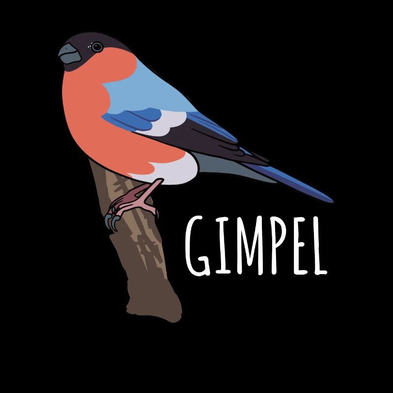 Dompfaff Gimpel Vogel Blutfink