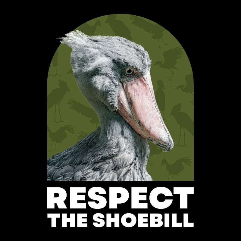 Respect the Shoebill Schuhschnabel Vogel