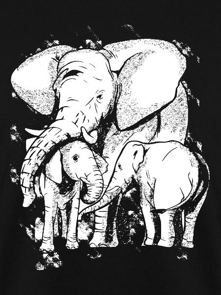 Elefantenfamilie Elefanten Kind Elefant