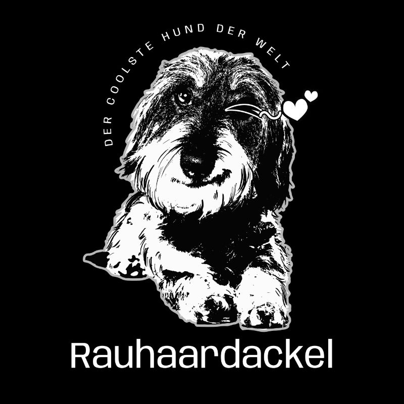 Cool Dog Wire-haired Dachshund Dogs