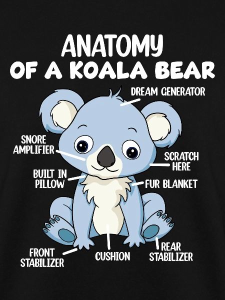 Anatomie eines Koala-Bären