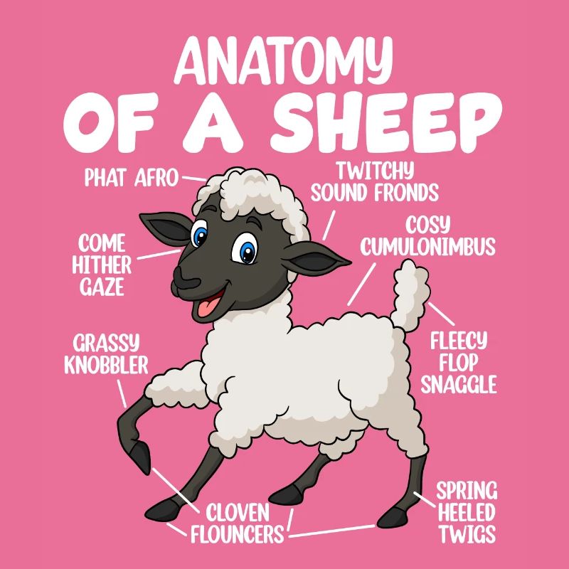 Anatomie eines Schafes