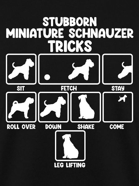 Zwergschnauzer