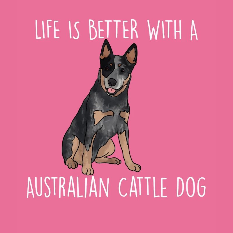 Bouvier australien