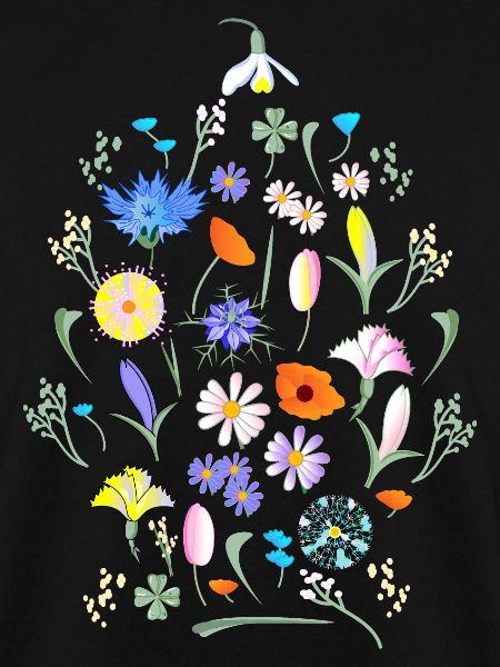 Bunte Blumen Blumenwiese