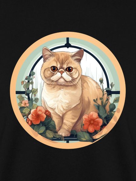 Exotische Kurzhaarkatze