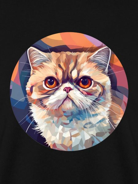 Exotische Kurzhaarkatze