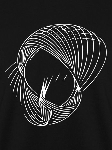 Geometric circle lines