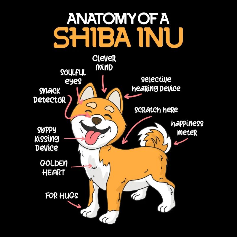 Anatomie d’un Shiba Inu