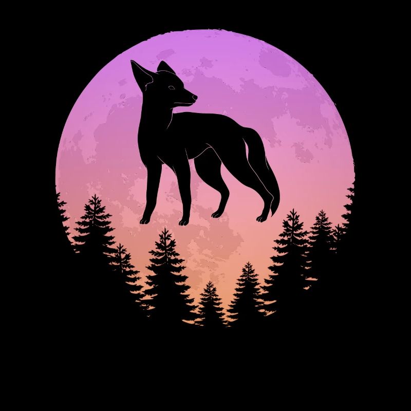 Natur Vollmond Fuchs Jäger