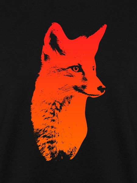 Fuchskopf Fuchs Fuchsjagd Jäger