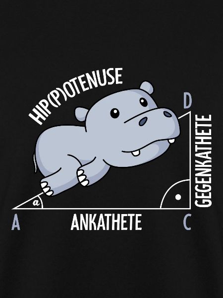 Mathematics Hippotenuse fun math