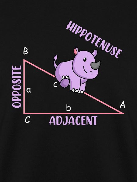 Mathematician Math Teacher Hippotenuse