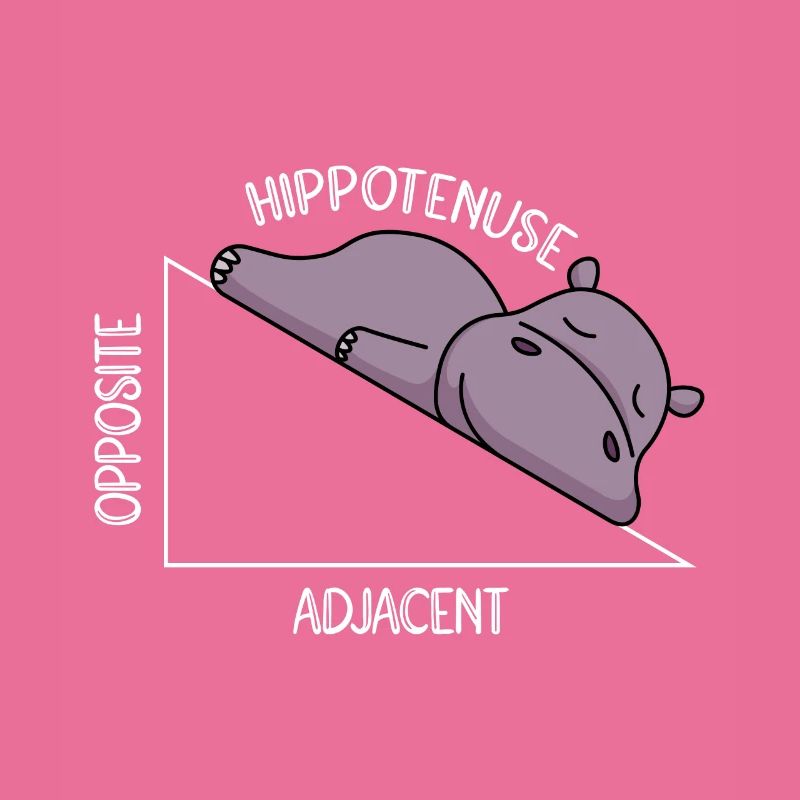 Algebra Math Student Math Teacher Hippotenuse