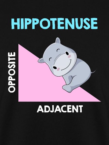 Hippotenuse Algebra Analysis