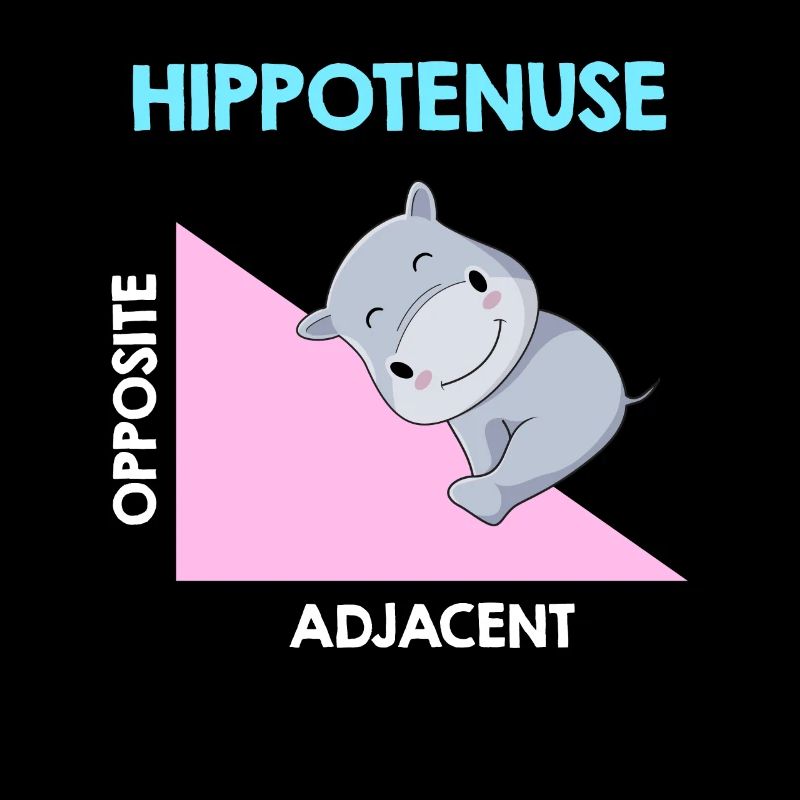 Hippotenuse Algebra Analysis