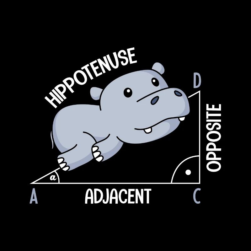 Mathematik Hippotenuse lustiges Mathe