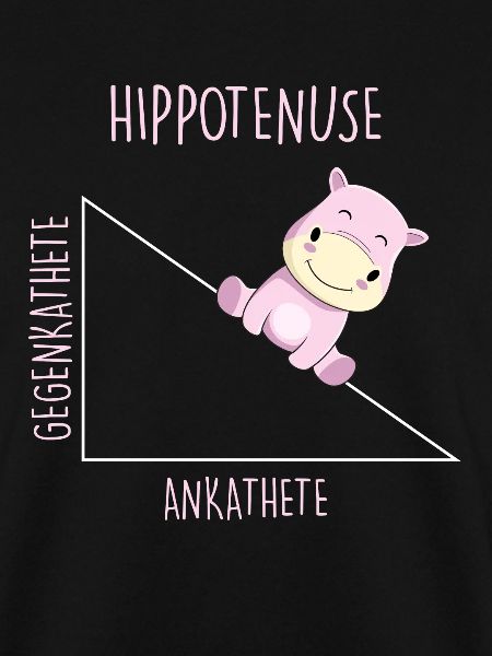 Hippotenuse Mathelehrer