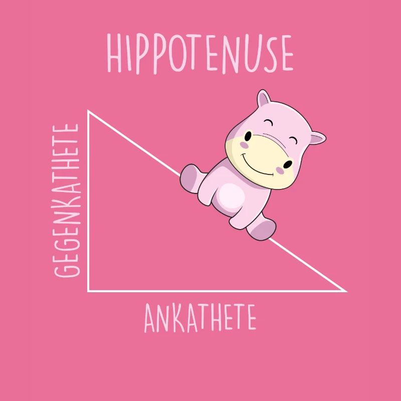 Hippotenuse Mathelehrer