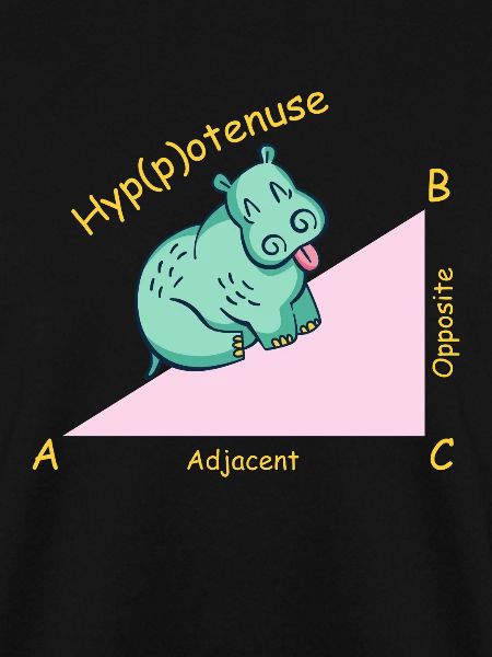 Math teacher mathematician Hippotenuse