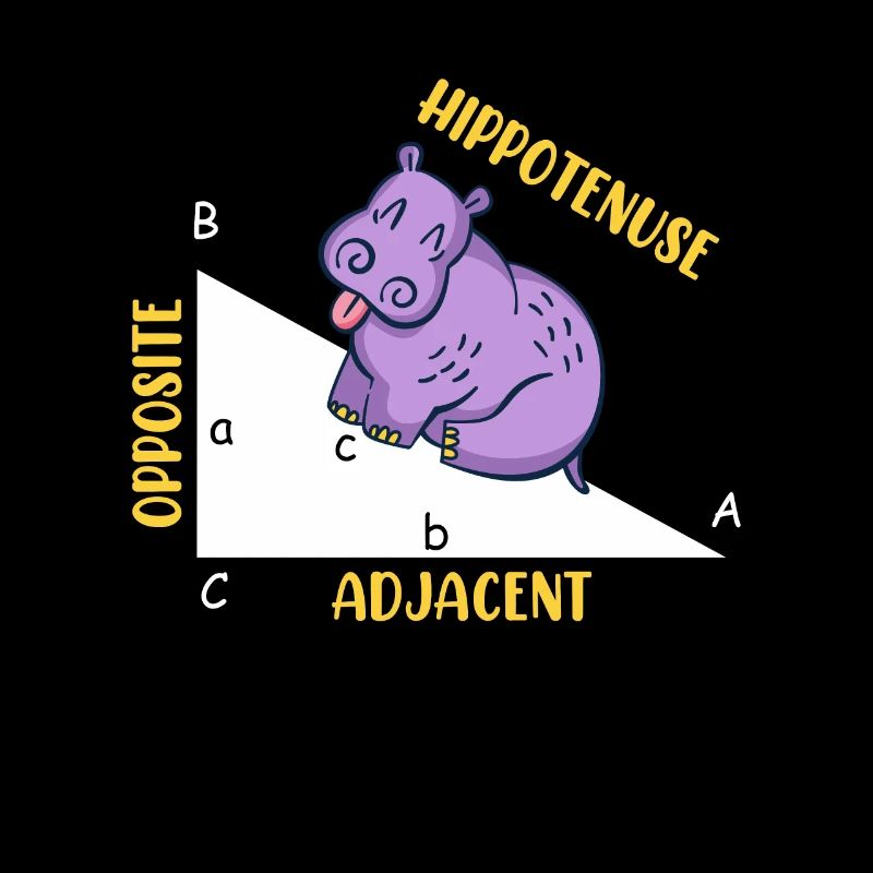 Hippotenuse Mathe