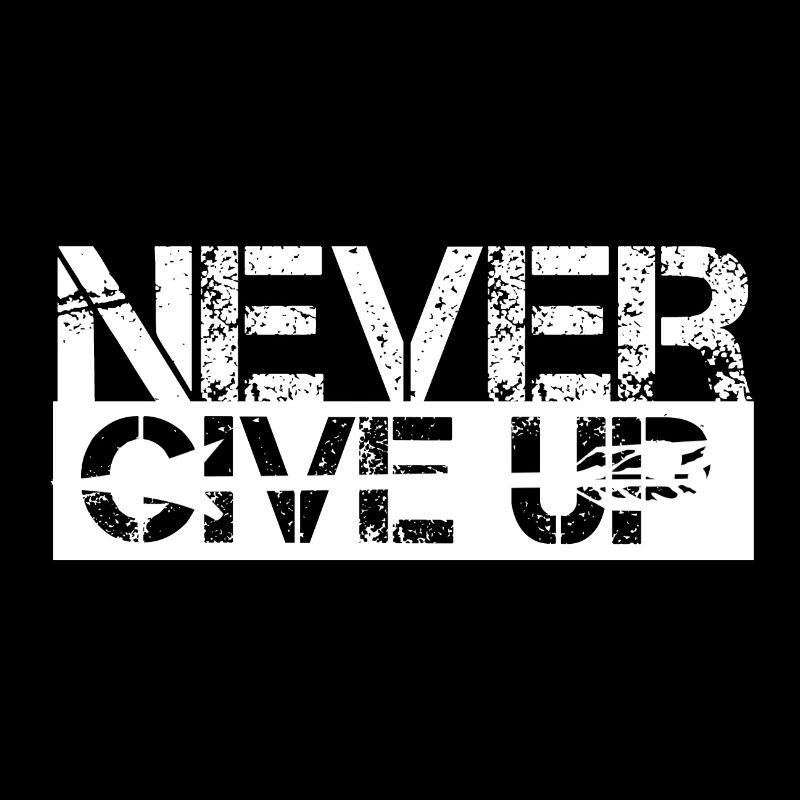 Never Give Up