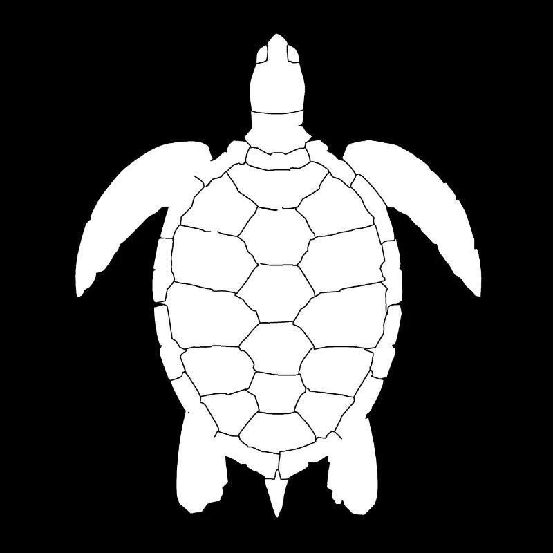 Tortoise turtle