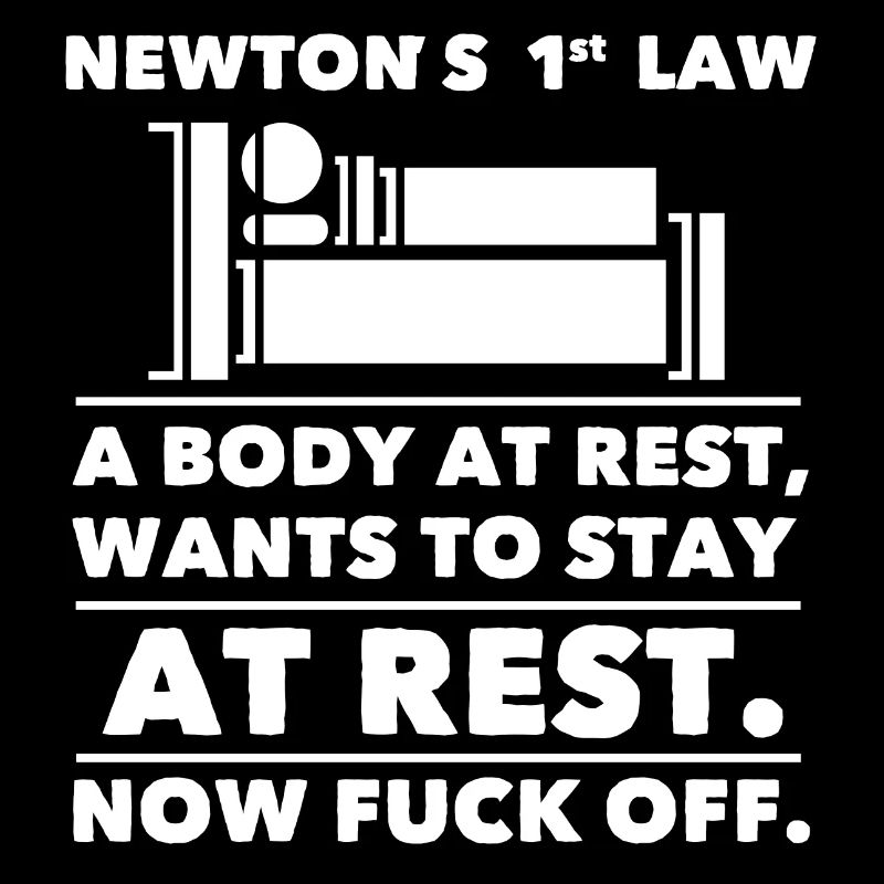 Newton Gesetz