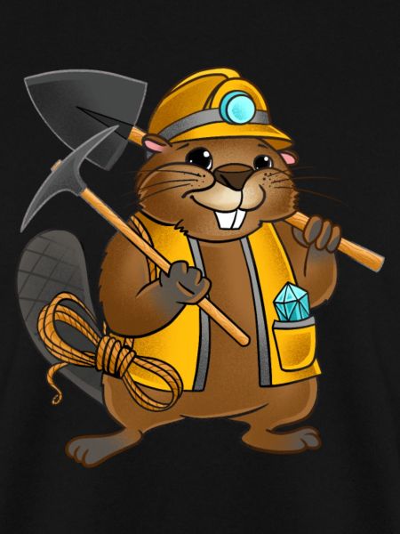 Mining Engineer