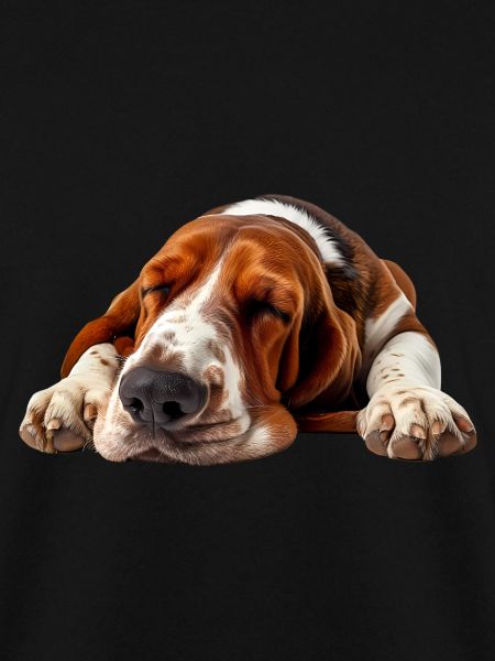 Basset Hound