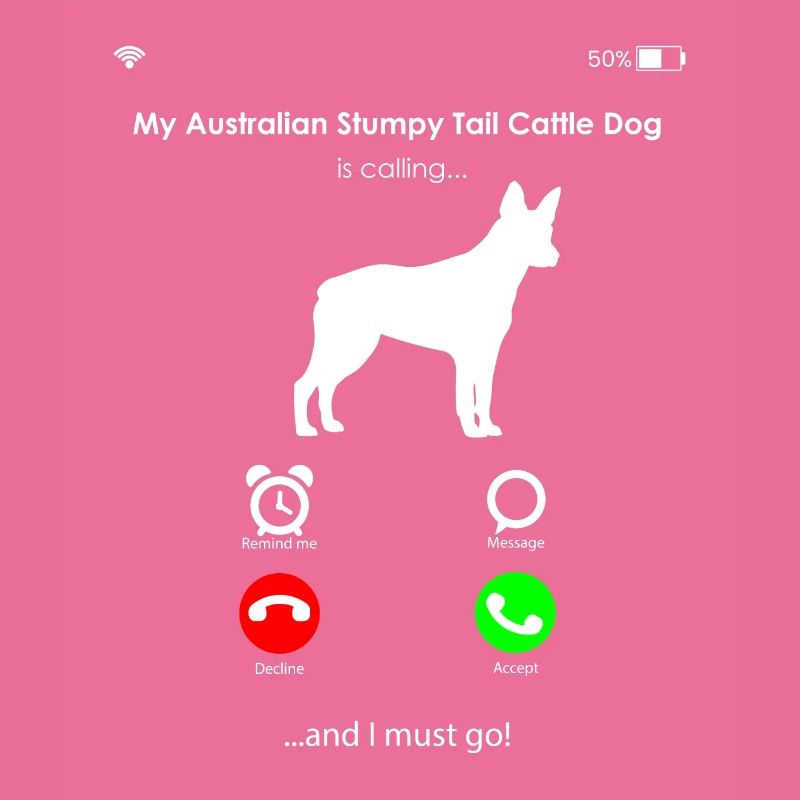 Australian Stumpy Tail Cattle Dog