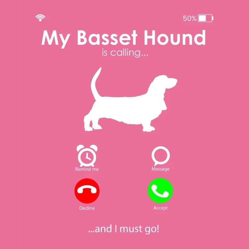 Basset Hound