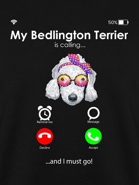 Bedlington Terrier